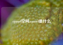 cpanel空间,cpanel是什么