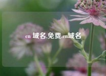 cn 域名,免费.cn域名