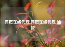 网页在线代理,网页在线代理 油管
