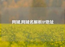 网域,网域名解析IP地址