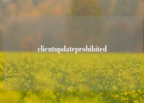 clientupdateprohibited