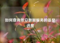 如何查询景安数据服务的备案进度