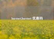burstnet,burstnet 优惠码