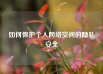 如何保护个人网络空间的隐私安全