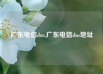 广东电信dns,广东电信dns地址