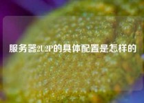 服务器2U2P的具体配置是怎样的