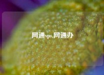 网通vps,网通办