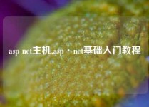 asp net主机,asp·net基础入门教程