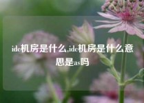 idc机房是什么,idc机房是什么意思是as吗