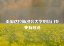 美国达拉斯浸会大学的热门专业有哪些