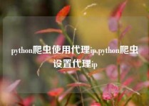 python爬虫使用代理ip,python爬虫设置代理ip