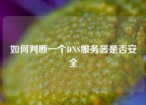 如何判断一个DNS服务器是否安全