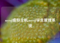 mysql虚拟主机,mysql学生管理系统