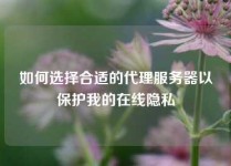 如何选择合适的代理服务器以保护我的在线隐私