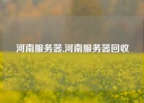 河南服务器,河南服务器回收