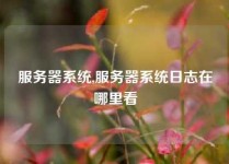 服务器系统,服务器系统日志在哪里看