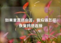 如果重置路由器，我应该怎样恢复网络连接