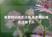免费网站域名注册,免费网站域名注册个人