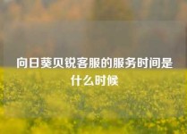 向日葵贝锐客服的服务时间是什么时候