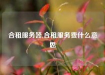 合租服务器,合租服务费什么意思