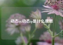 动态ip,动态ip是什么意思
