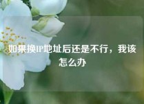 如果换IP地址后还是不行，我该怎么办