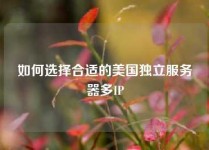 如何选择合适的美国独立服务器多IP