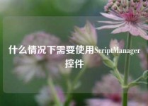什么情况下需要使用ScriptManager控件