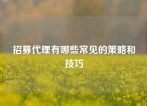 招募代理有哪些常见的策略和技巧