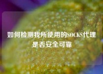 如何检测我所使用的SOCKS代理是否安全可靠