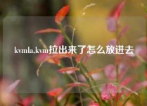 kvmla,kvm拉出来了怎么放进去