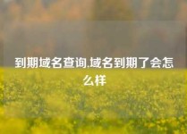 到期域名查询,域名到期了会怎么样