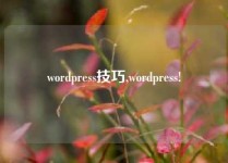 wordpress技巧,wordpress!