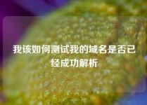 我该如何测试我的域名是否已经成功解析