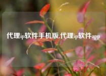 代理ip软件手机版,代理ip软件app