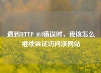 遇到HTTP 403错误时，我该怎么继续尝试访问该网站
