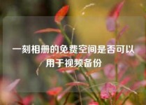 一刻相册的免费空间是否可以用于视频备份