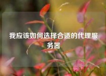 我应该如何选择合适的代理服务器