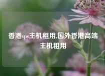 香港vps主机租用,国外香港高端主机租用