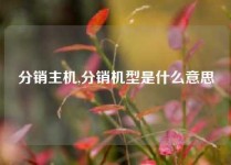 分销主机,分销机型是什么意思