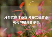 分布式操作系统,分布式操作系统与网络操作系统