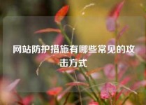 网站防护措施有哪些常见的攻击方式