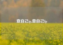 查自己ip,查自己Ip