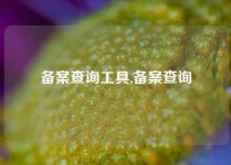 备案查询工具,备案查询