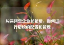 购买阿里企业邮箱后，如何进行后续的配置和管理