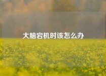 大脑宕机时该怎么办