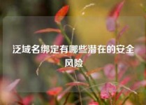 泛域名绑定有哪些潜在的安全风险