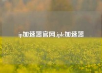 ip加速器官网,iplc加速器