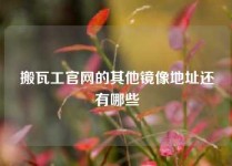 搬瓦工官网的其他镜像地址还有哪些