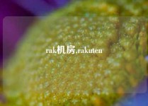 rak机房,rakuten